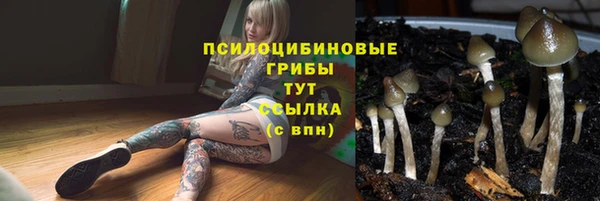 МДПВ Беломорск