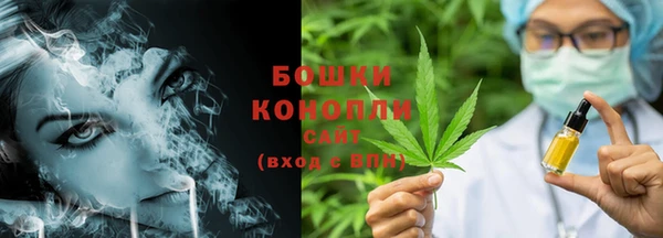 гашик Белокуриха