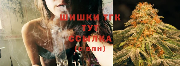 гашик Белокуриха